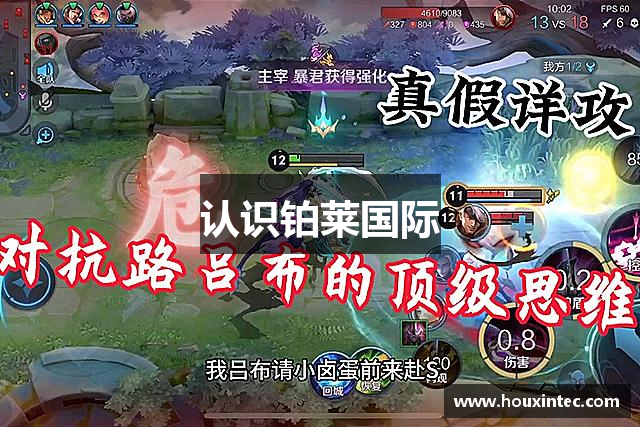 认识铂莱国际
